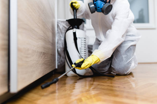 Best Mosquito Control Services  in Franklin, NH