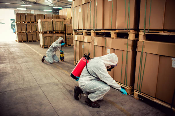 Best Residential Pest Control  in Franklin, NH