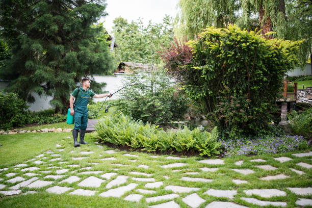 Best Pest Control Near Me  in Franklin, NH