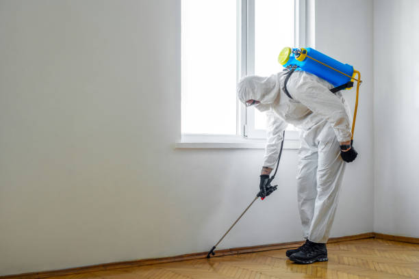 Trusted Franklin, NH Pest Control Experts