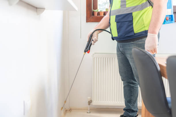Best Emergency Pest Control  in Franklin, NH