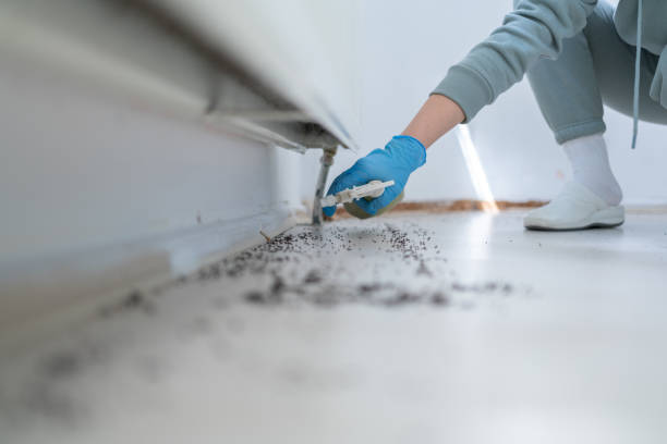 Best Pest Prevention Services  in Franklin, NH